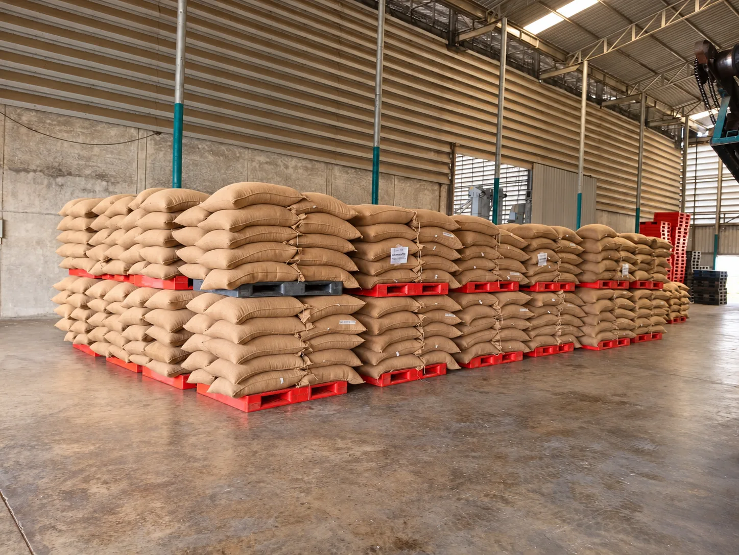 Green coffee bean storage at Happy Roastery