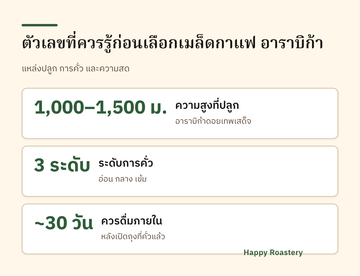 อินโฟกราฟิกตัวเลขเมล็ดกาแฟ อาราบิก้า ความสูงปลูกและความสด
