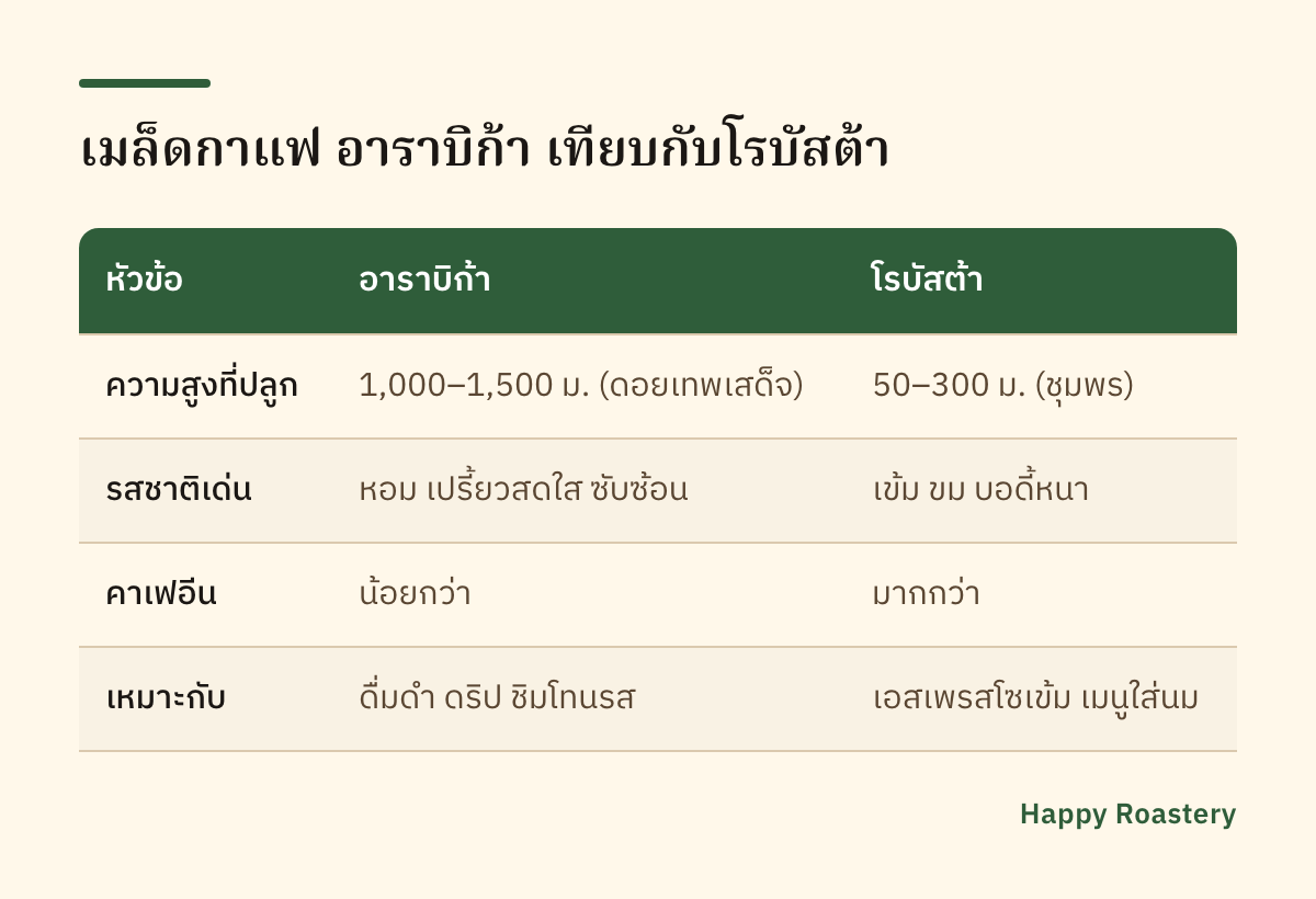 ตารางเทียบเมล็ดกาแฟ อาราบิก้า กับโรบัสต้า รสชาติและการใช้งาน