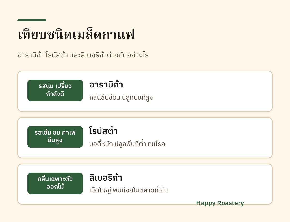 อินโฟกราฟิกเทียบชนิดเมล็ดกาแฟ อาราบิก้า โรบัสต้า ลิเบอริก้า