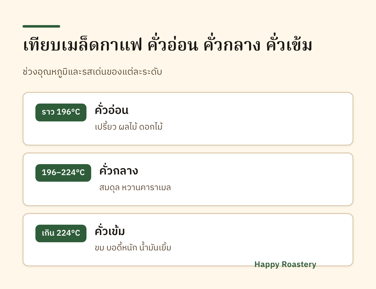 อินโฟกราฟิกเทียบเมล็ดกาแฟ คั่วกลาง กับคั่วอ่อนและคั่วเข้ม