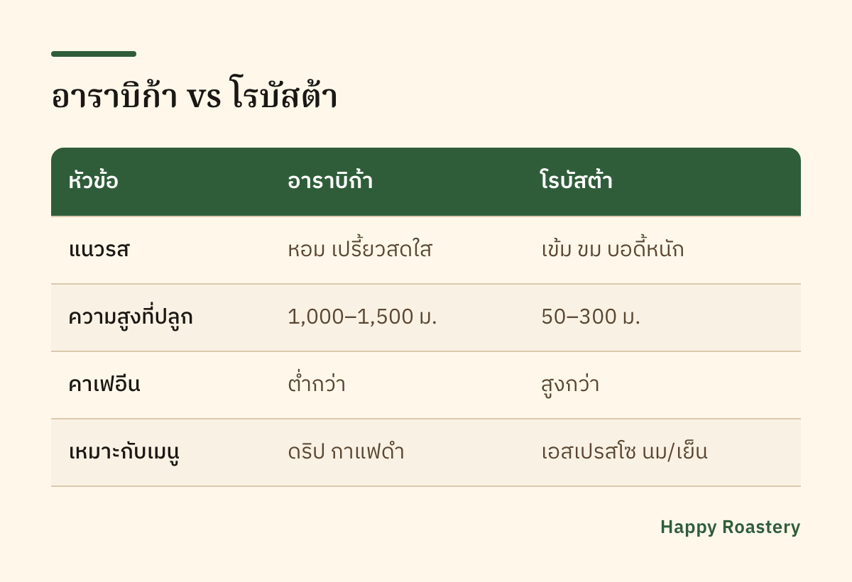 ตารางเทียบ เมล็ดกาแฟ แนะนำ อาราบิก้ากับโรบัสต้า เรื่องรสและคาเฟอีน