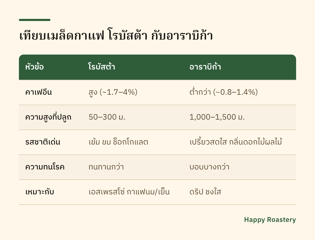 ตารางเทียบเมล็ดกาแฟ โรบัสต้า กับอาราบิก้า แบบย่อ